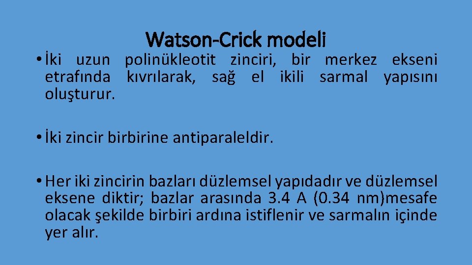 Watson-Crick modeli • İki uzun polinükleotit zinciri, bir merkez ekseni etrafında kıvrılarak, sağ el