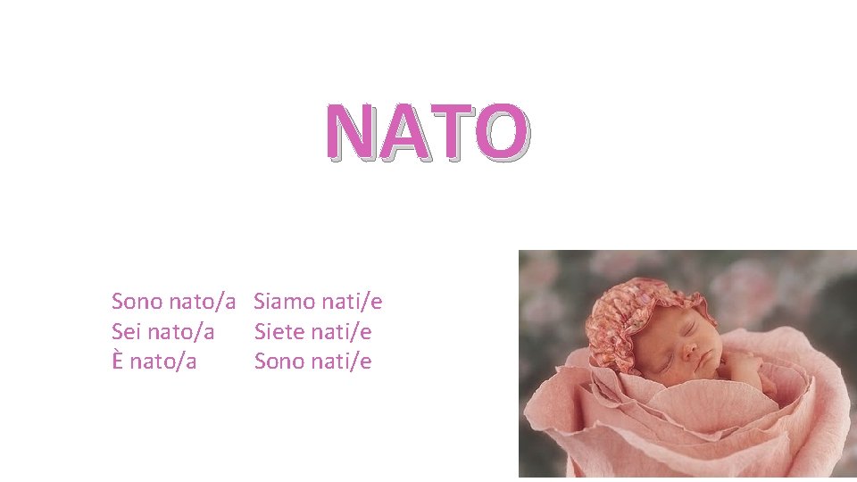 NATO Sono nato/a Siamo nati/e Sei nato/a Siete nati/e È nato/a Sono nati/e 