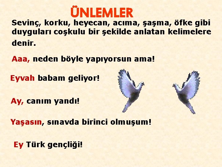 ÜNLEMLER Sevinç, korku, heyecan, acıma, şaşma, öfke gibi duyguları coşkulu bir şekilde anlatan kelimelere