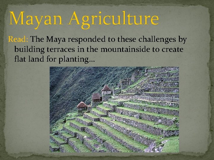 Mayan Agriculture Read: The Maya responded to these challenges by building terraces in the