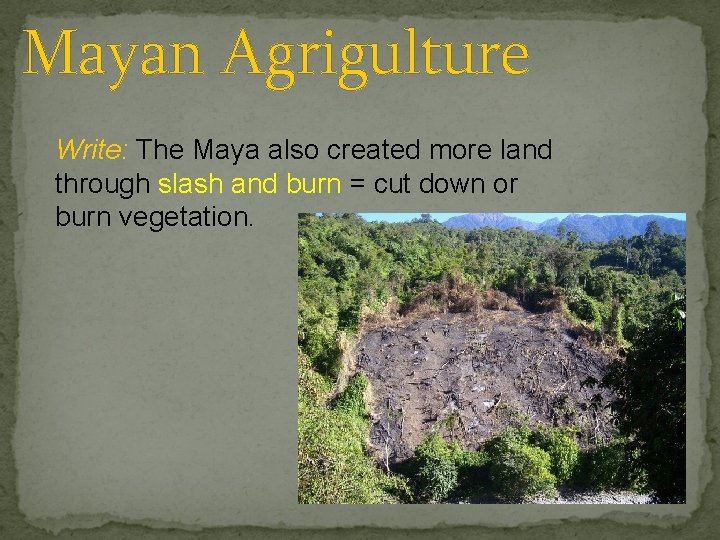 Mayan Agrigulture Write: The Maya also created more land through slash and burn =