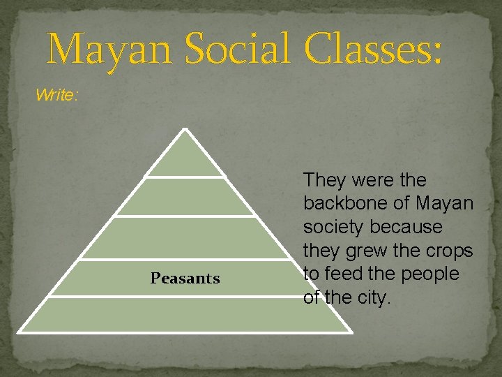 Mayan Social Classes: Write: Peasants They were the backbone of Mayan society because they