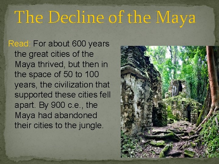 The Decline of the Maya Read: For about 600 years the great cities of