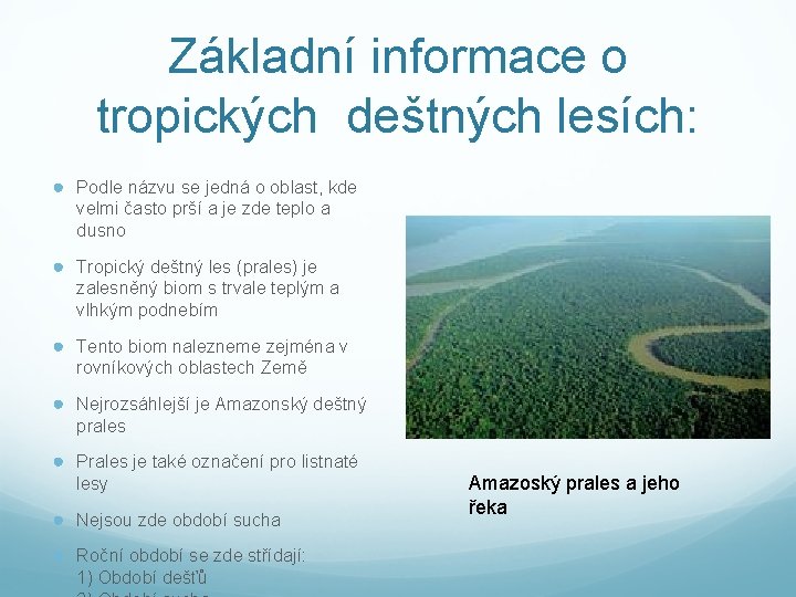 Základní informace o tropických deštných lesích: ● Podle názvu se jedná o oblast, kde