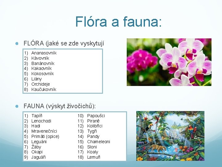 Flóra a fauna: ● FLÓRA (jaké se zde vyskytují rostliny): 1) Ananasovník 2) 3)