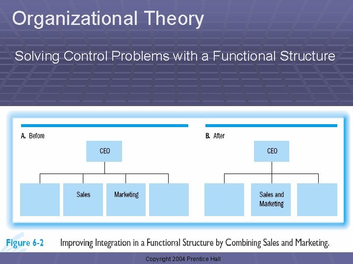 Organizational Theory Solving Control Problems with a Functional Structure 4 - Copyright 2004 Prentice