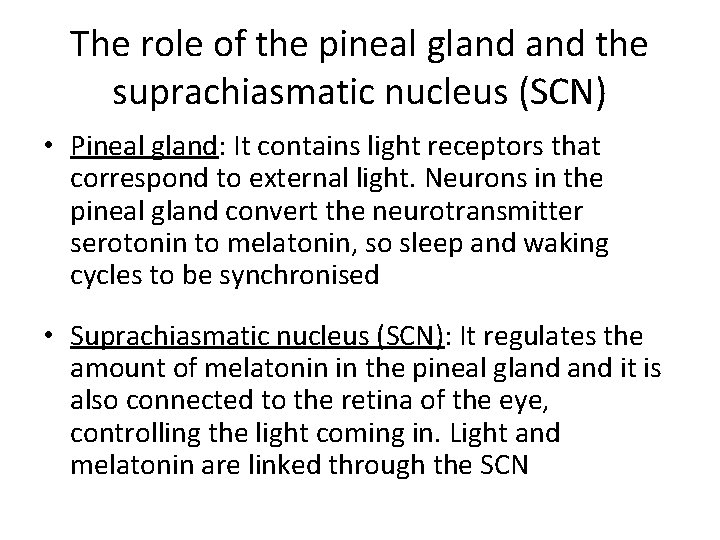 The role of the pineal gland the suprachiasmatic nucleus (SCN) • Pineal gland: It