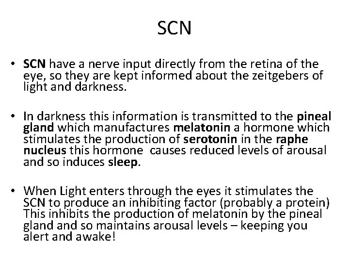 SCN • SCN have a nerve input directly from the retina of the eye,