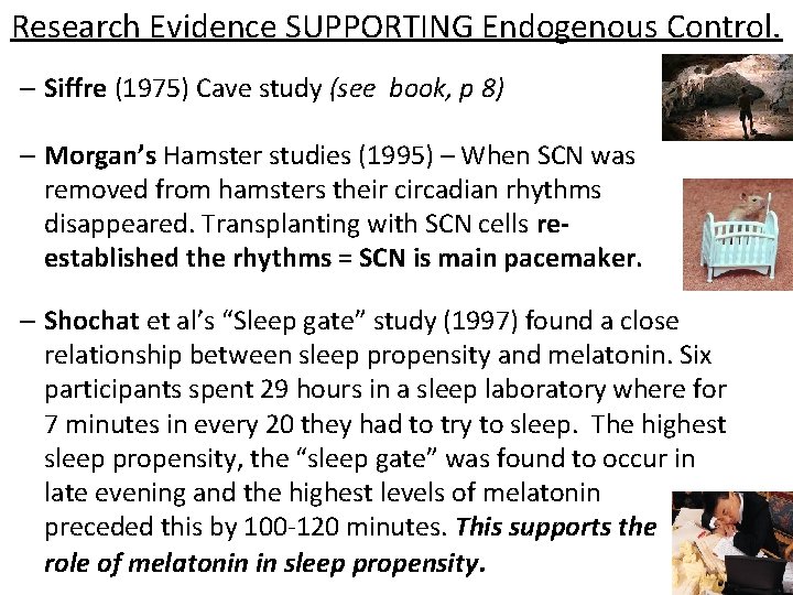 Research Evidence SUPPORTING Endogenous Control. – Siffre (1975) Cave study (see book, p 8)