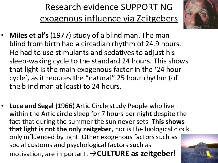 Research evidence SUPPORTING exogenous influence via Zeitgebers • Miles et al’s (1977) study of