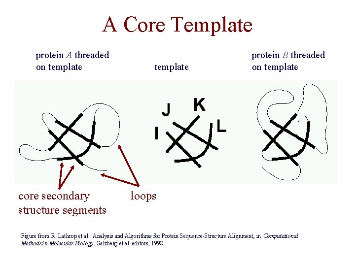 A Core Template protein A threaded on template core secondary structure segments template protein A Core Template protein A threaded on template core secondary structure segments template protein