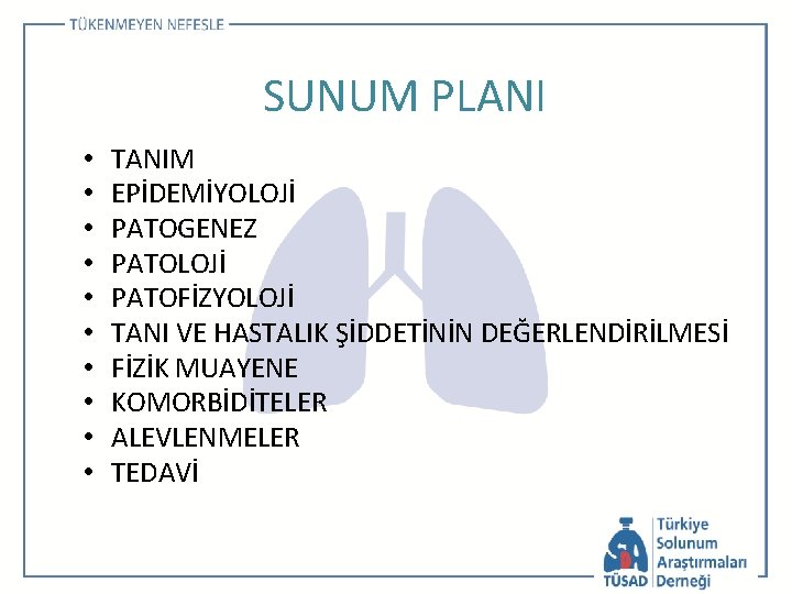 SUNUM PLANI • • • TANIM EPİDEMİYOLOJİ PATOGENEZ PATOLOJİ PATOFİZYOLOJİ TANI VE HASTALIK ŞİDDETİNİN