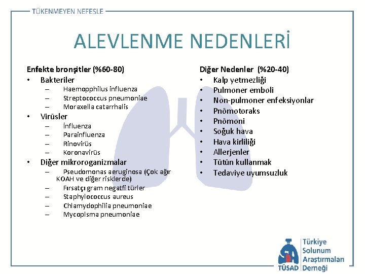 ALEVLENME NEDENLERİ Enfekte bronşitler (%60 -80) • Bakteriler – – – • Virüsler –