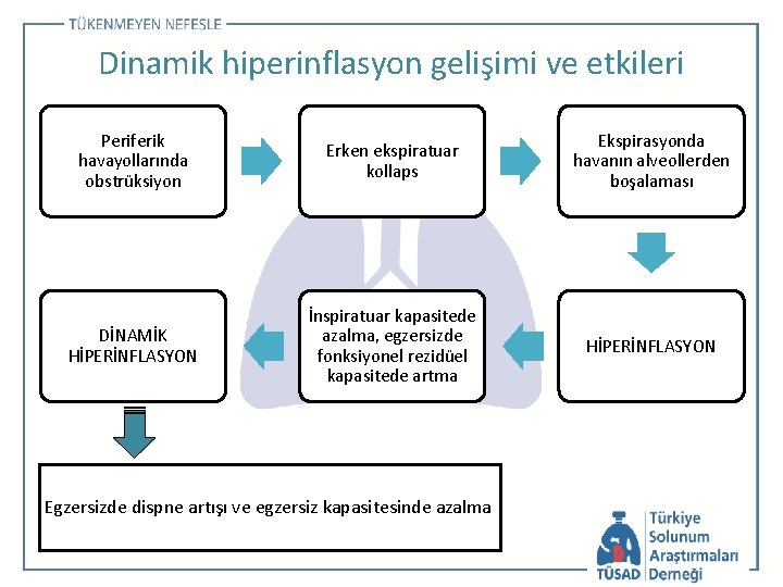 Dinamik hiperinflasyon gelişimi ve etkileri Periferik havayollarında obstrüksiyon Erken ekspiratuar kollaps Ekspirasyonda havanın alveollerden