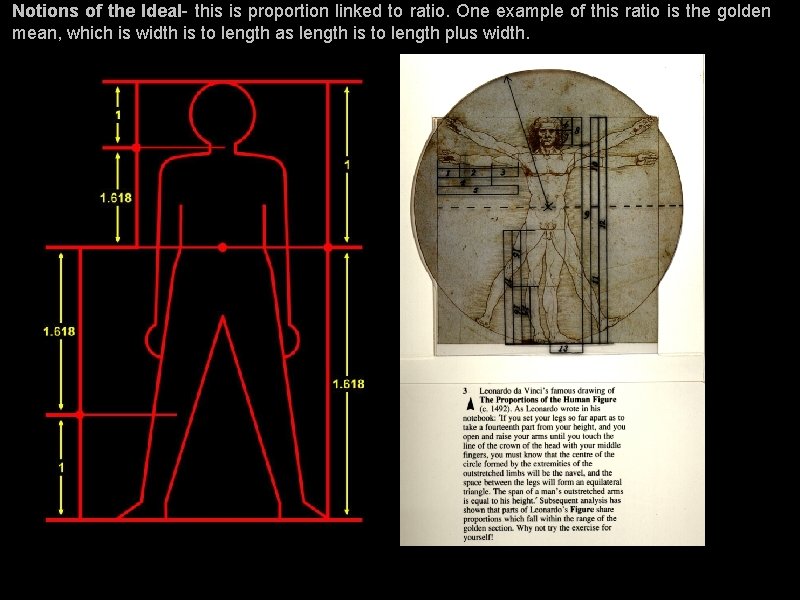 Notions of the Ideal- this is proportion linked to ratio. One example of this Notions of the Ideal- this is proportion linked to ratio. One example of this
