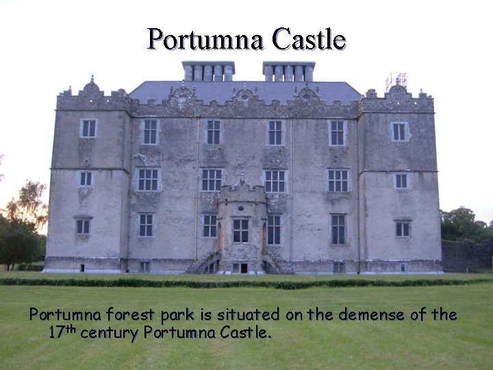 Portumna Castle Portumna forest park is situated on the demense of the 17 th