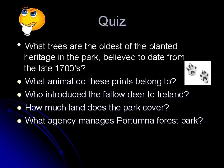 Quiz • What trees are the oldest of the planted heritage in the park,