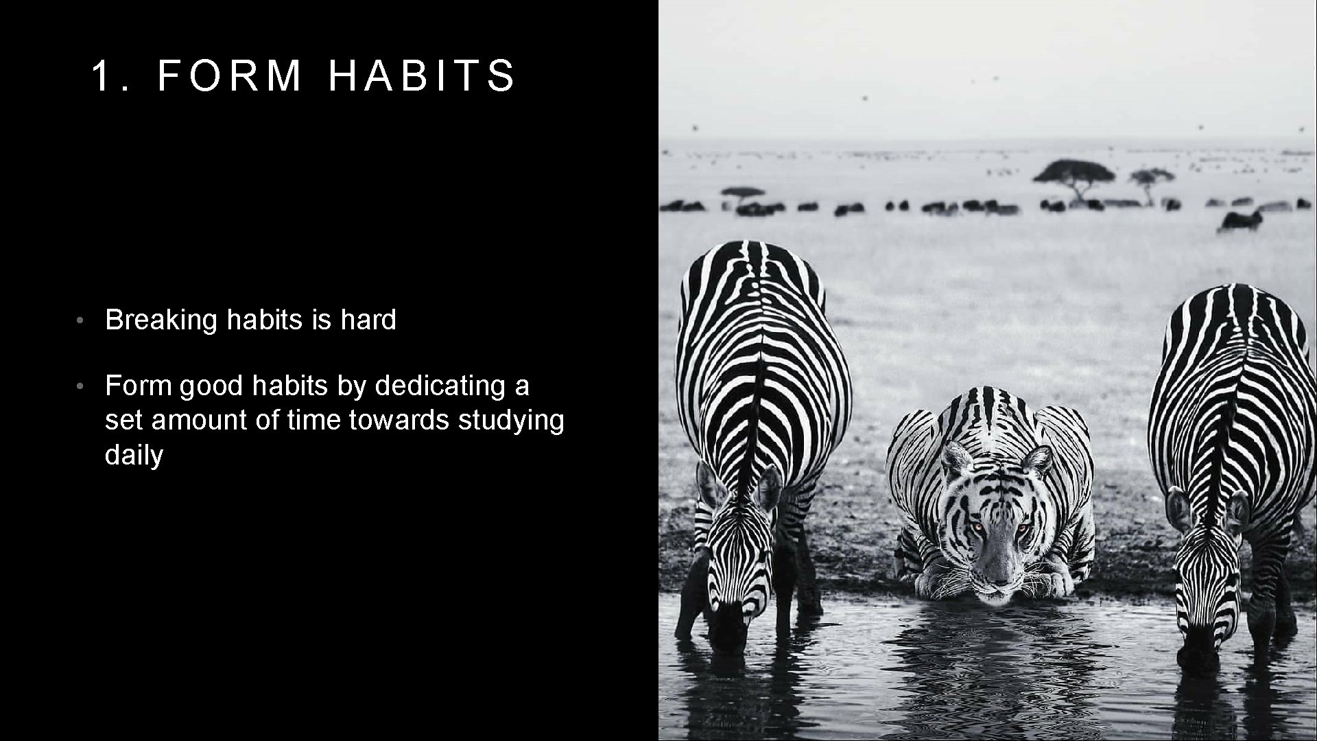 1. FORM HABITS • Breaking habits is hard • Form good habits by dedicating