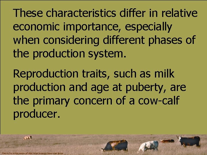 These characteristics differ in relative economic importance, especially when considering different phases of the