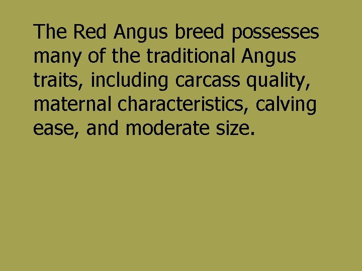 The Red Angus breed possesses many of the traditional Angus traits, including carcass quality,