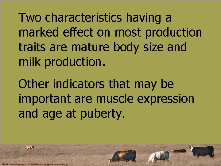 Two characteristics having a marked effect on most production traits are mature body size