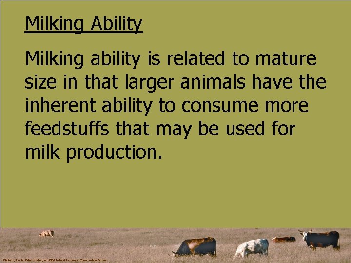 Milking Ability Milking ability is related to mature size in that larger animals have