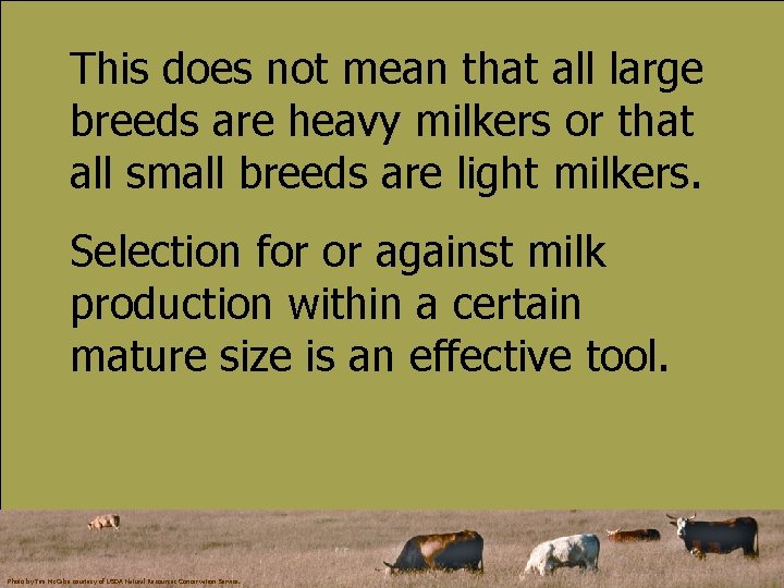 This does not mean that all large breeds are heavy milkers or that all