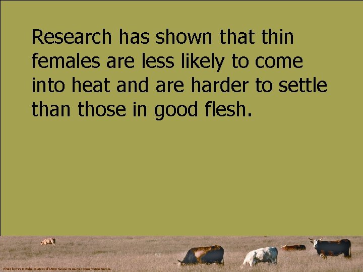 Research has shown that thin females are less likely to come into heat and