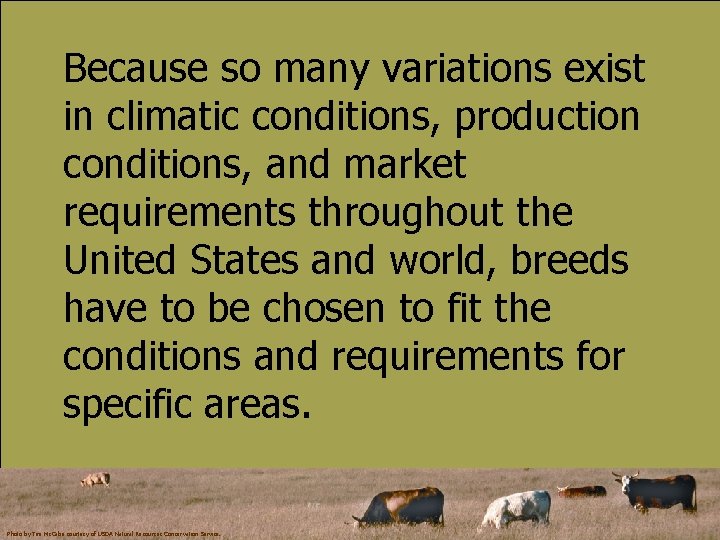 Because so many variations exist in climatic conditions, production conditions, and market requirements throughout