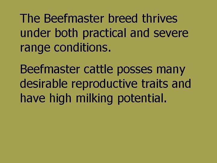 The Beefmaster breed thrives under both practical and severe range conditions. Beefmaster cattle posses