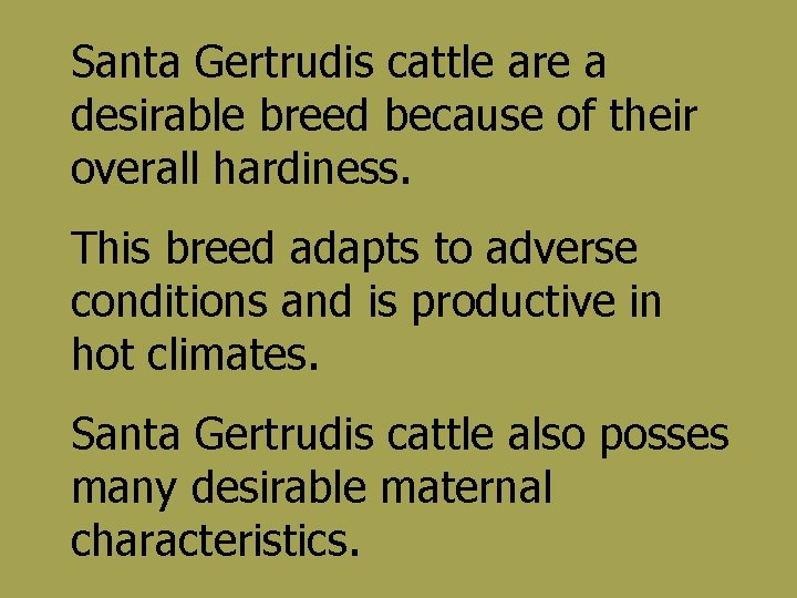 Santa Gertrudis cattle are a desirable breed because of their overall hardiness. This breed