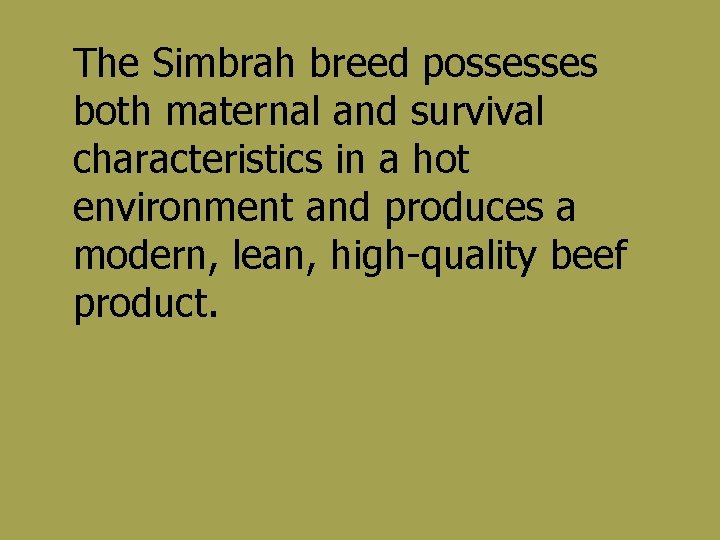 The Simbrah breed possesses both maternal and survival characteristics in a hot environment and