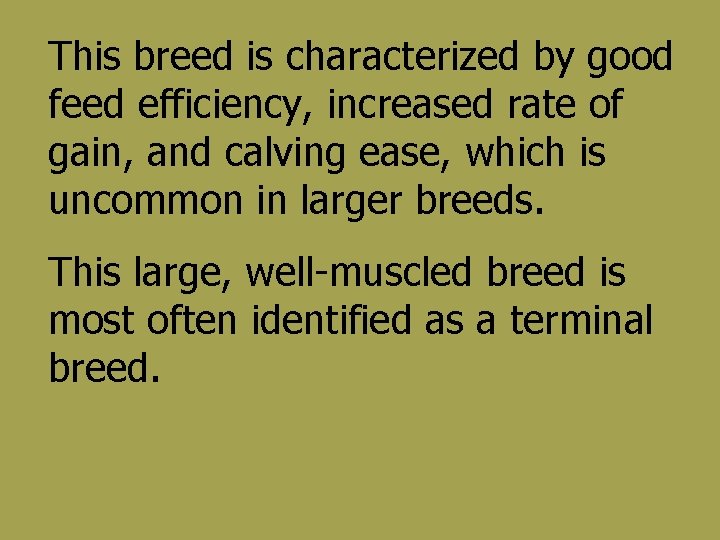 This breed is characterized by good feed efficiency, increased rate of gain, and calving