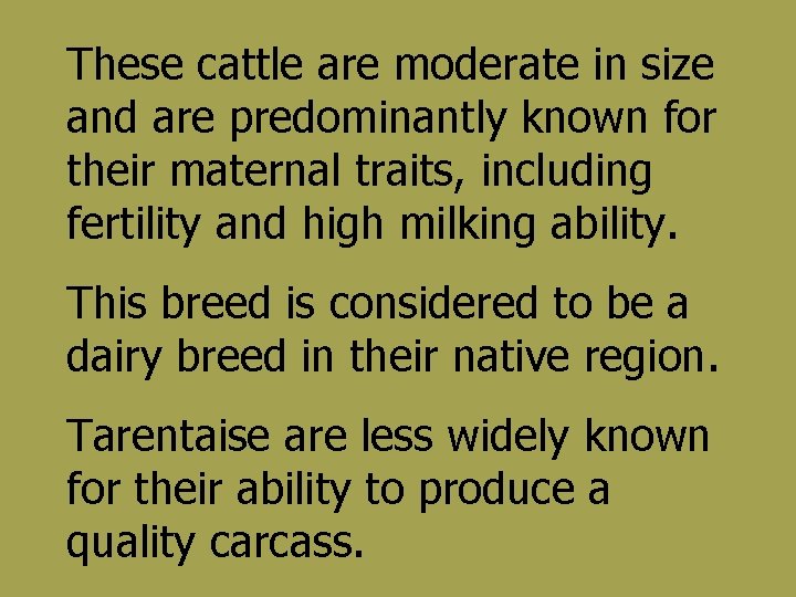 These cattle are moderate in size and are predominantly known for their maternal traits,