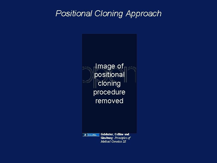 Positional Cloning Approach Image of positional cloning procedure removed Gelehrter, Collins and Ginsburg: Principles