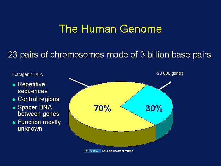 The Human Genome 23 pairs of chromosomes made of 3 billion base pairs ~20,