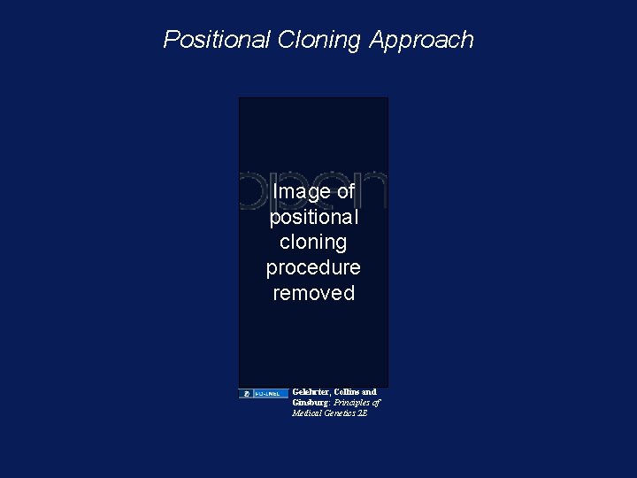 Positional Cloning Approach Image of positional cloning procedure removed Gelehrter, Collins and Ginsburg: Principles