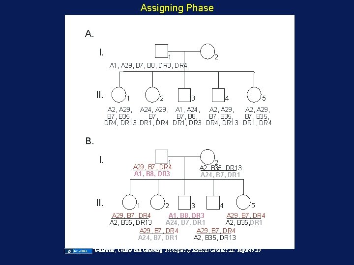 Assigning Phase A. I. 1 A 1, A 29, B 7, B 8, DR