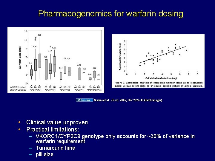 Pharmacogenomics for warfarin dosing Sconce et al. , Blood, 2005, 106: 2329 -33 (Both