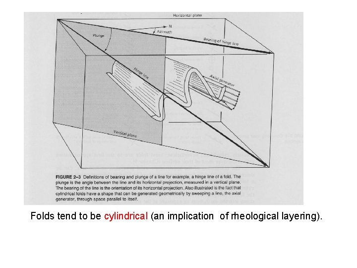 Folds tend to be cylindrical (an implication of rheological layering). 