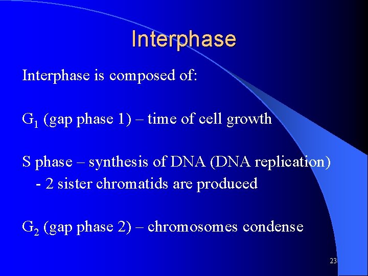 Interphase is composed of: G 1 (gap phase 1) – time of cell growth
