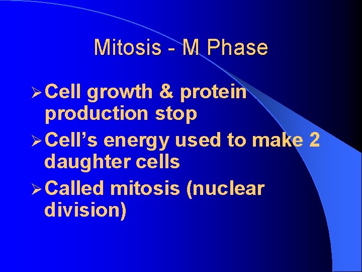 Mitosis - M Phase Ø Cell growth & protein production stop Ø Cell’s energy