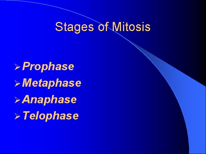 Stages of Mitosis Ø Prophase Ø Metaphase Ø Anaphase Ø Telophase 