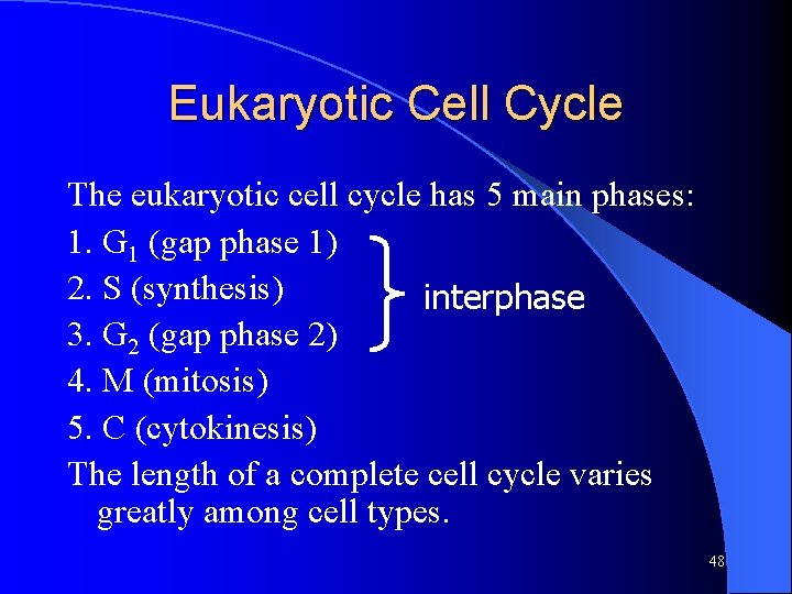 Eukaryotic Cell Cycle The eukaryotic cell cycle has 5 main phases: 1. G 1