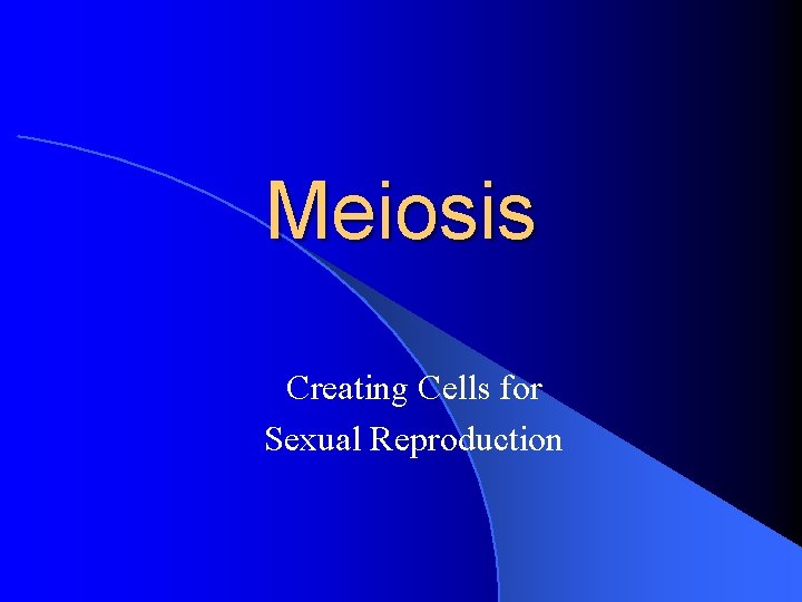 Meiosis Creating Cells for Sexual Reproduction 