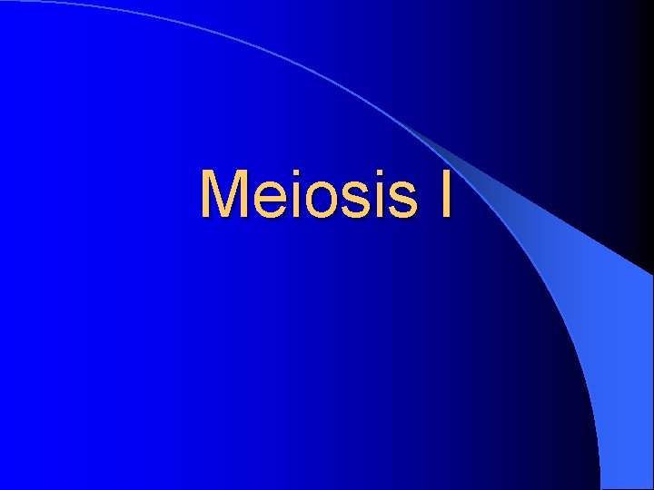 Meiosis I 