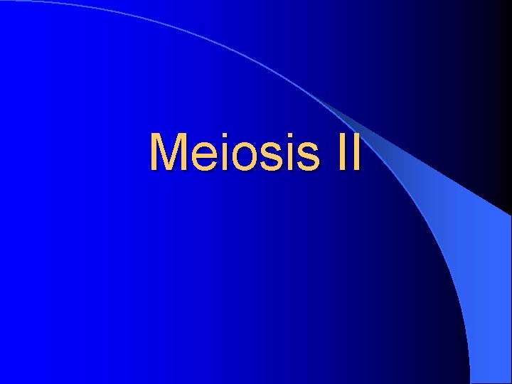 Meiosis II 