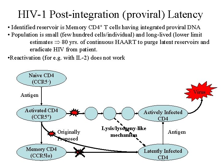 HIV-1 Post-integration (proviral) Latency • Identified reservoir is Memory CD 4+ T cells having