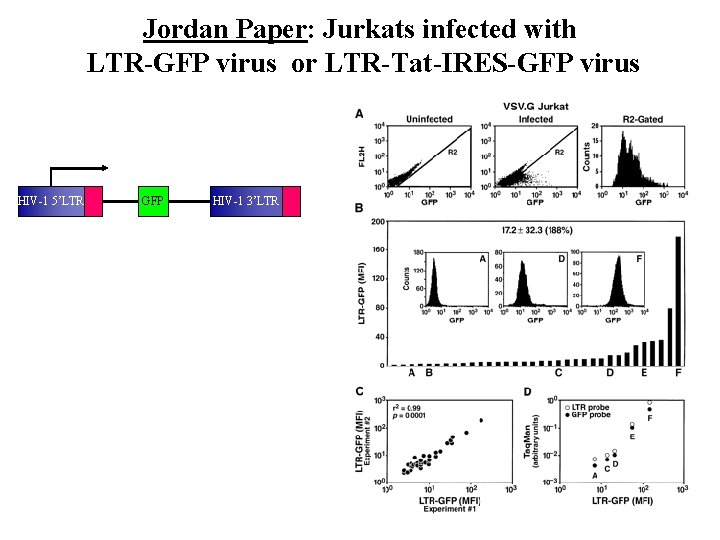 Jordan Paper: Jurkats infected with LTR-GFP virus or LTR-Tat-IRES-GFP virus HIV-1 5’LTR GFP HIV-1