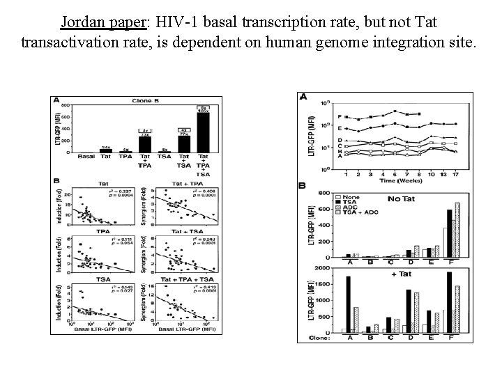 Jordan paper: HIV-1 basal transcription rate, but not Tat transactivation rate, is dependent on